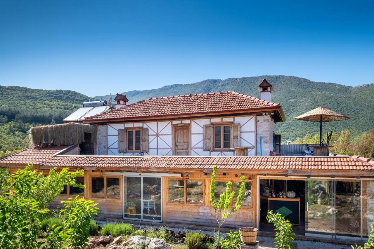 3 * Kaș
